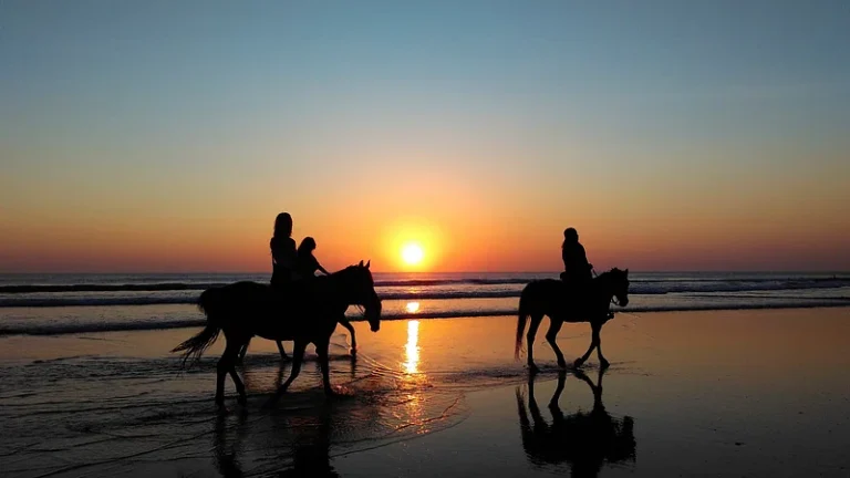 Horse Riding in Zanzibar 768x432
