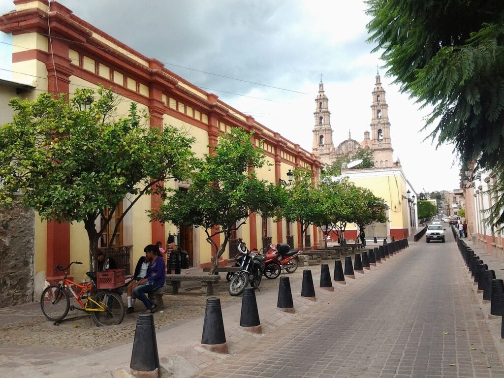 BIBLIOTECA PUBLICA REGIONAL "MARIA SOINE DE HELGUERA" DE LAGOS DE MORENO,JALISCO. MEXICO