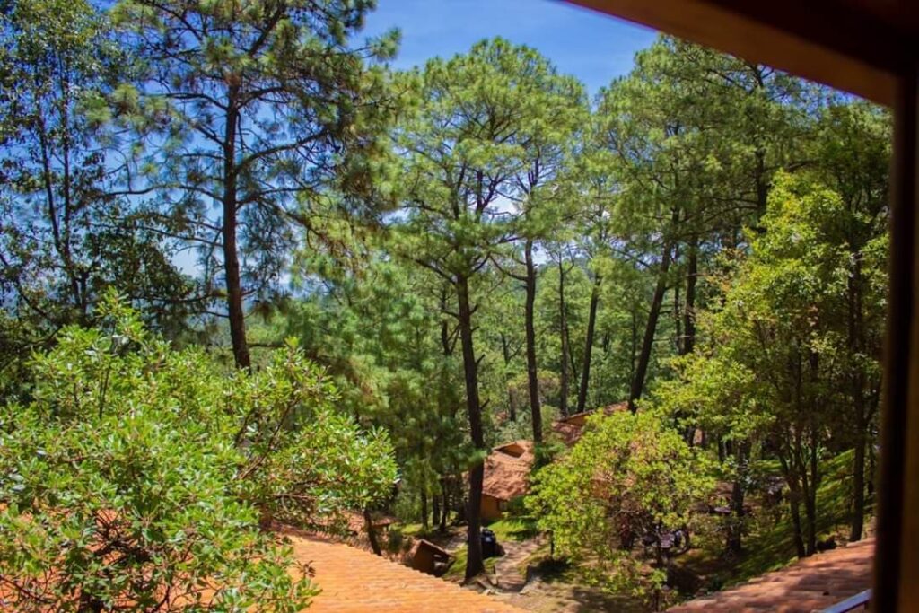 Naturaleza vista desde cabaña en Mazamitla
